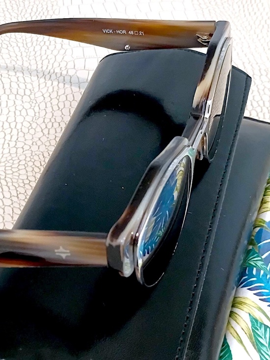 BRAND NEW (CURRENT) TSEEGAN VICK – HORNE SUNGLASSES MADE IN FRANCE NWT main image 4